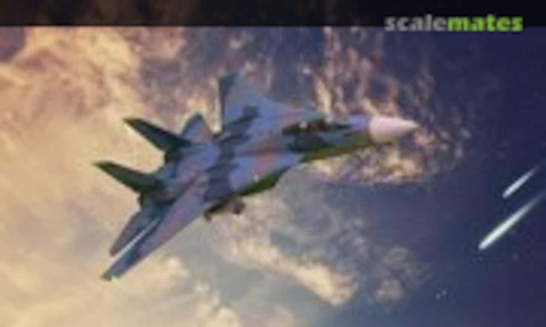Grumman F-14A Tomcat 1:48