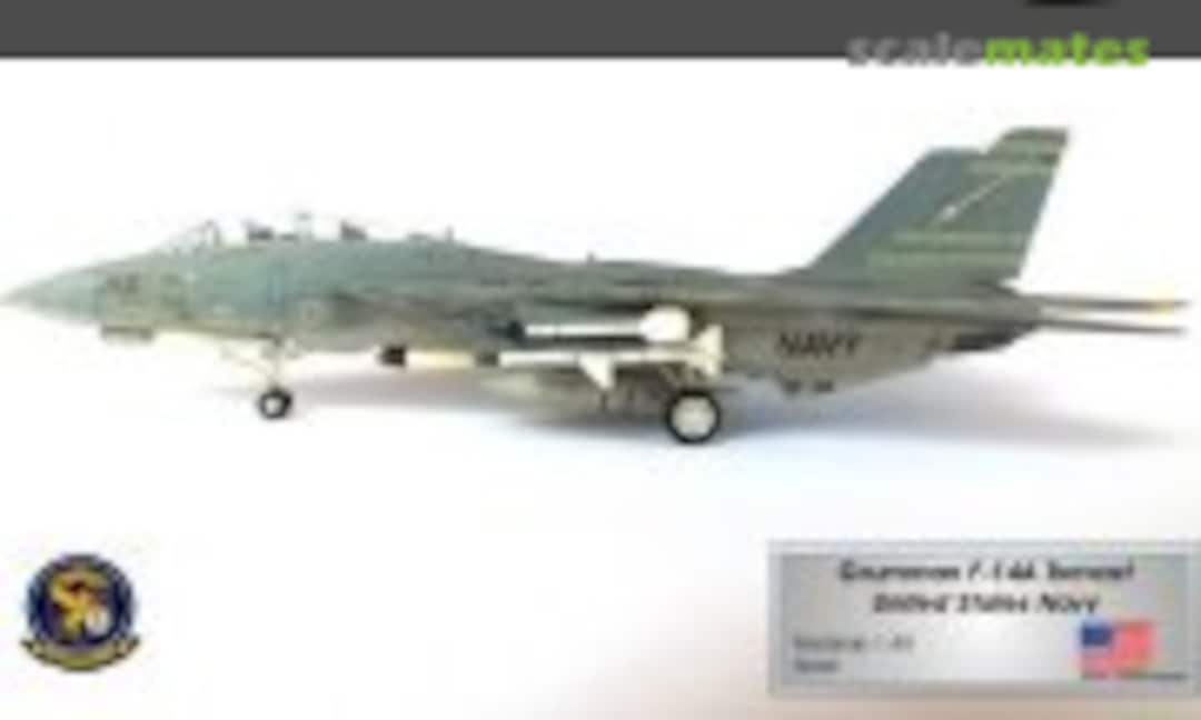 Grumman F-14A Plus Tomcat 1:48