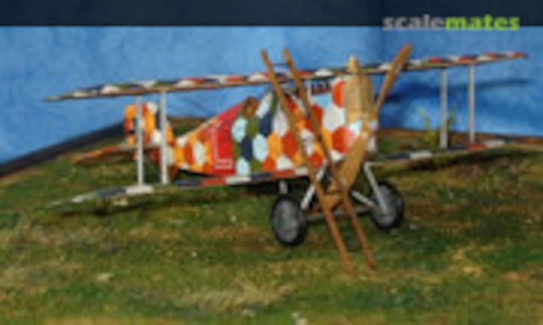 Aviatik Berg D.1 1:48