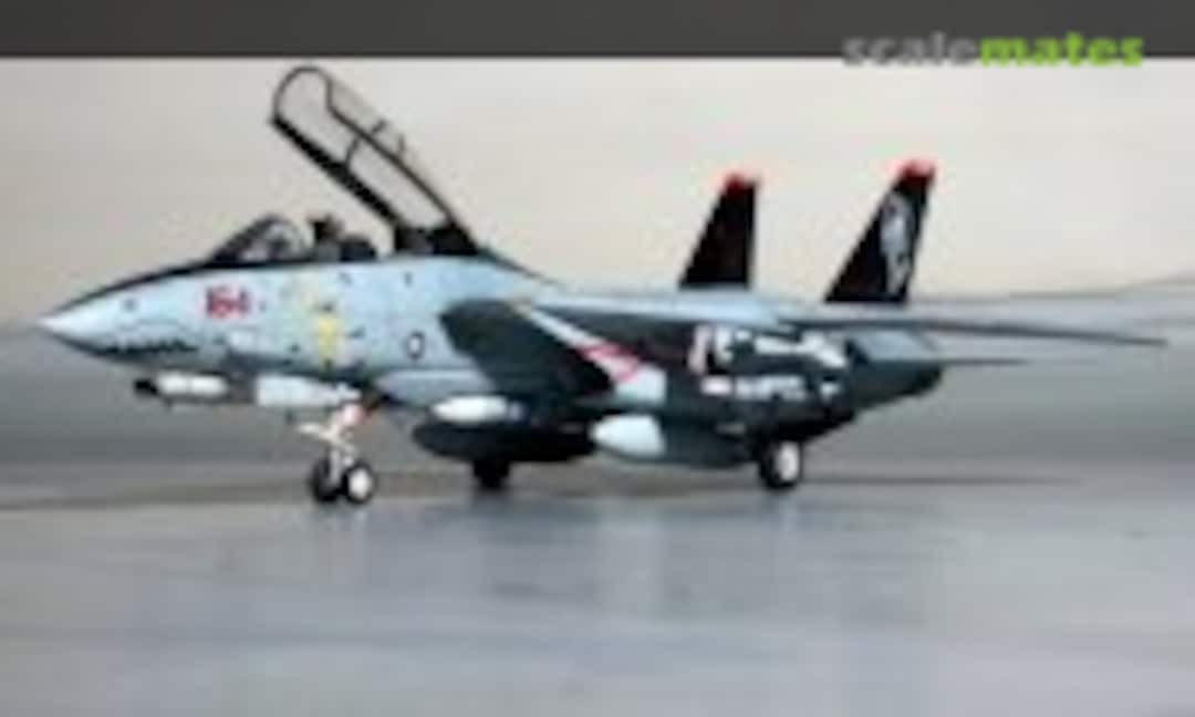 Grumman F-14D Tomcat 1:72