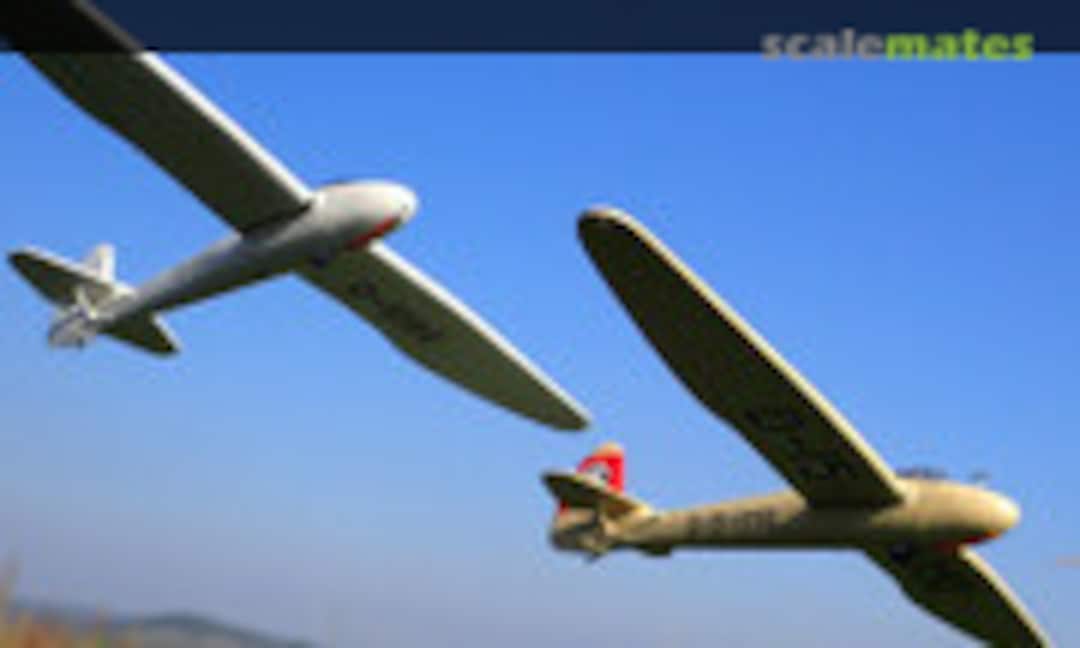 Göppingen / Wolf Hirth Gö 4 1:72