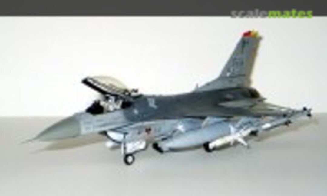 Lockheed Martin F-16CJ Fighting Falcon