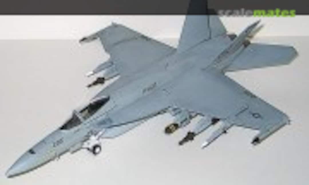 Boeing F/A-18E Super Hornet 1:48