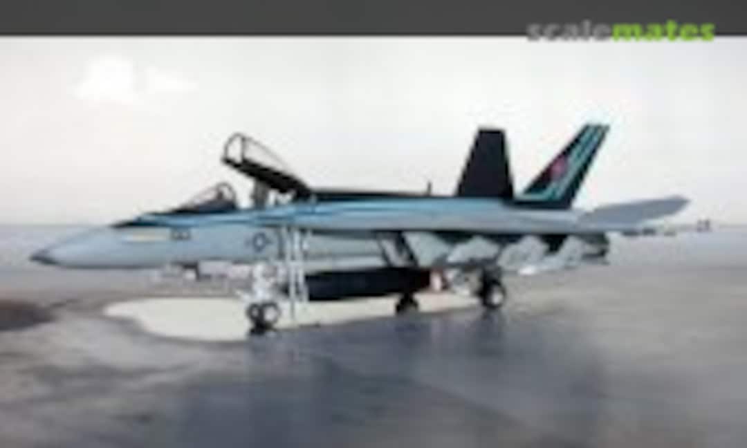 Boeing F/A-18E Super Hornet 1:48