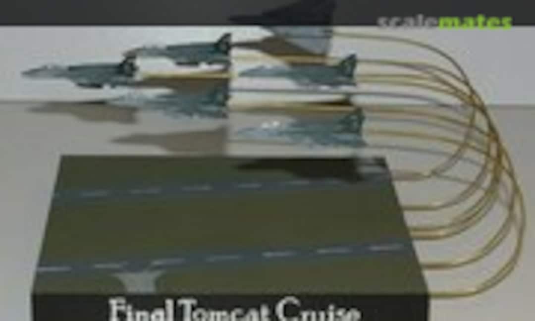 Grumman F-14D Tomcat 1:350