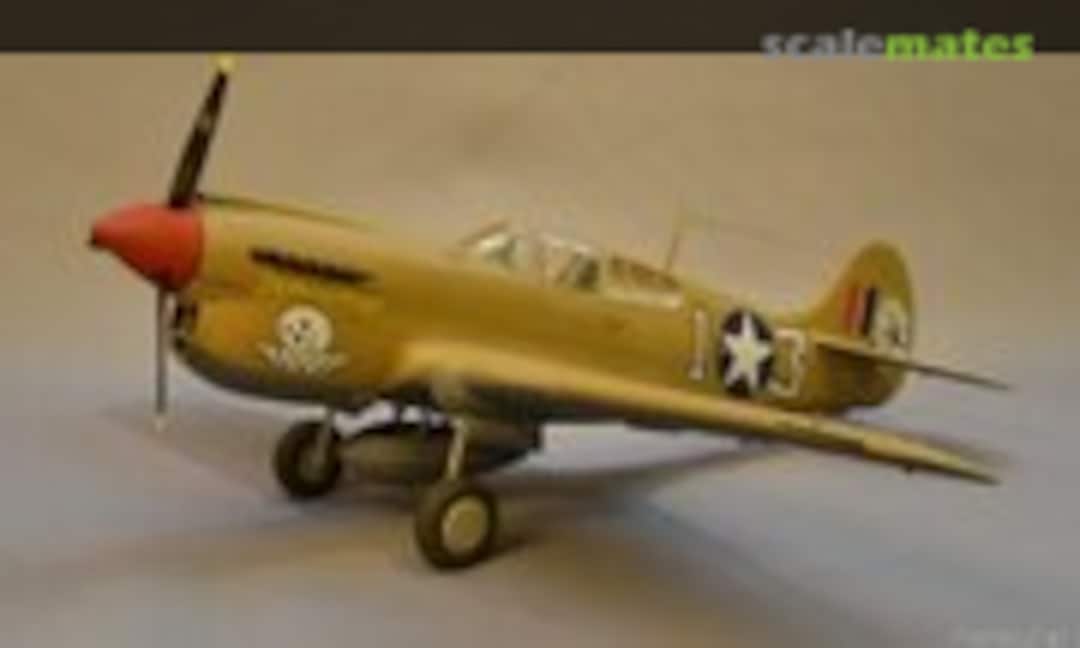 Curtiss P-40 Warhawk 1:48