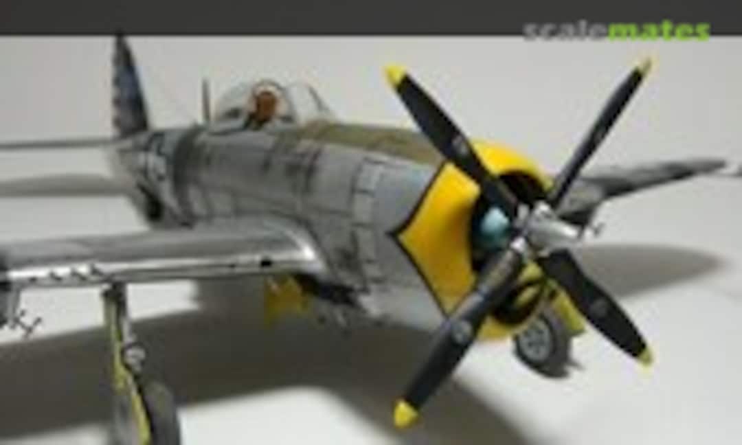 Republic P-47D Thunderbolt 1:48
