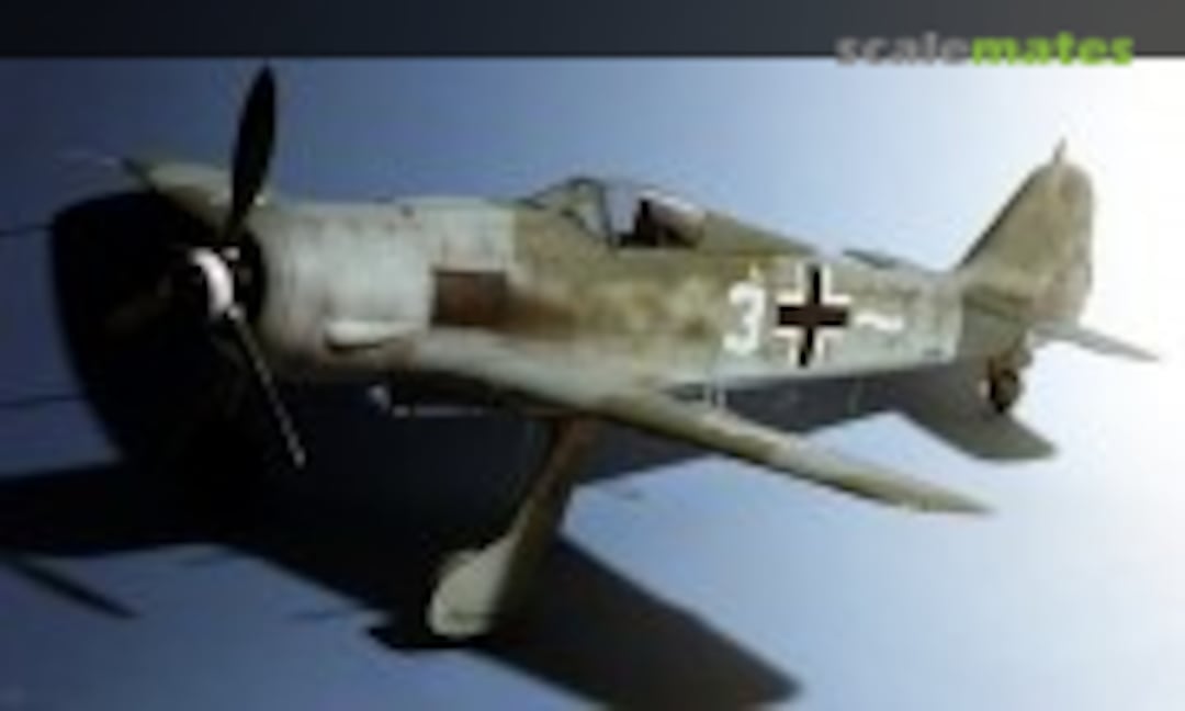 Focke-Wulf Fw 190A-8 1:48