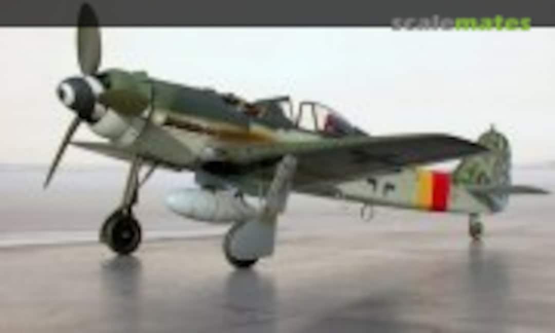 Focke-Wulf Fw 190D-9 1:48