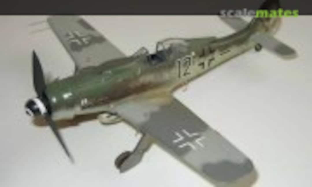 Focke-Wulf Fw 190D-9 1:48