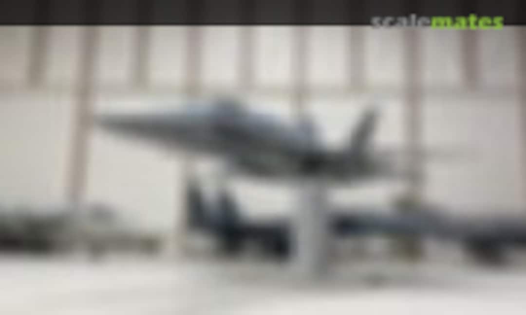 F-18 Hornet 1:48
