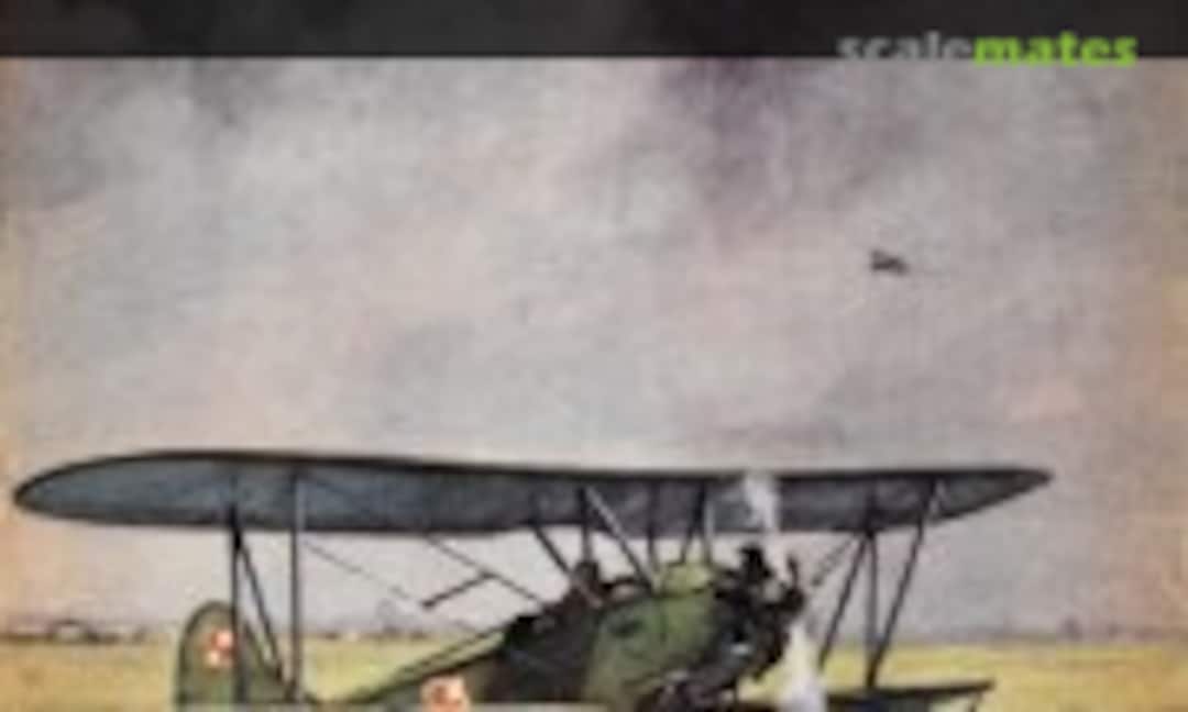 Plany Modelarskie 49 (Plany Modelarskie 49) Plany Modelarskie 49 (Plany Modelarskie 49)