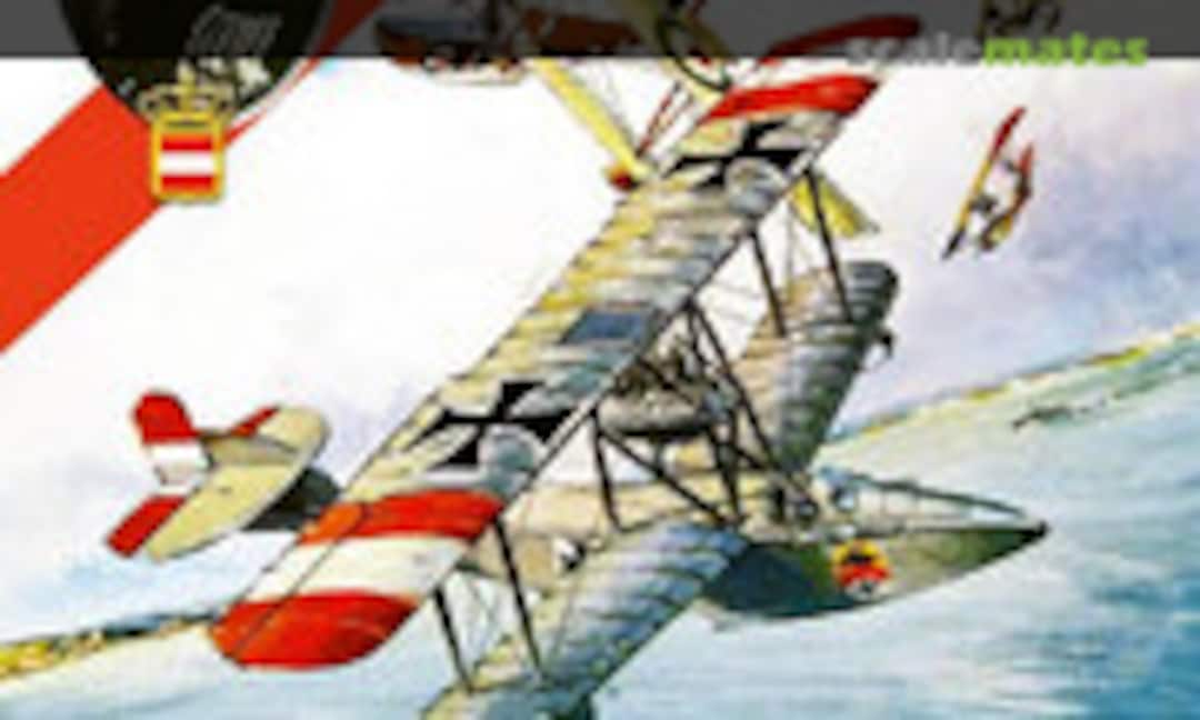 Eagle of Trieste Volume 1: The Man and His Aircraft (Aeronaut Books )