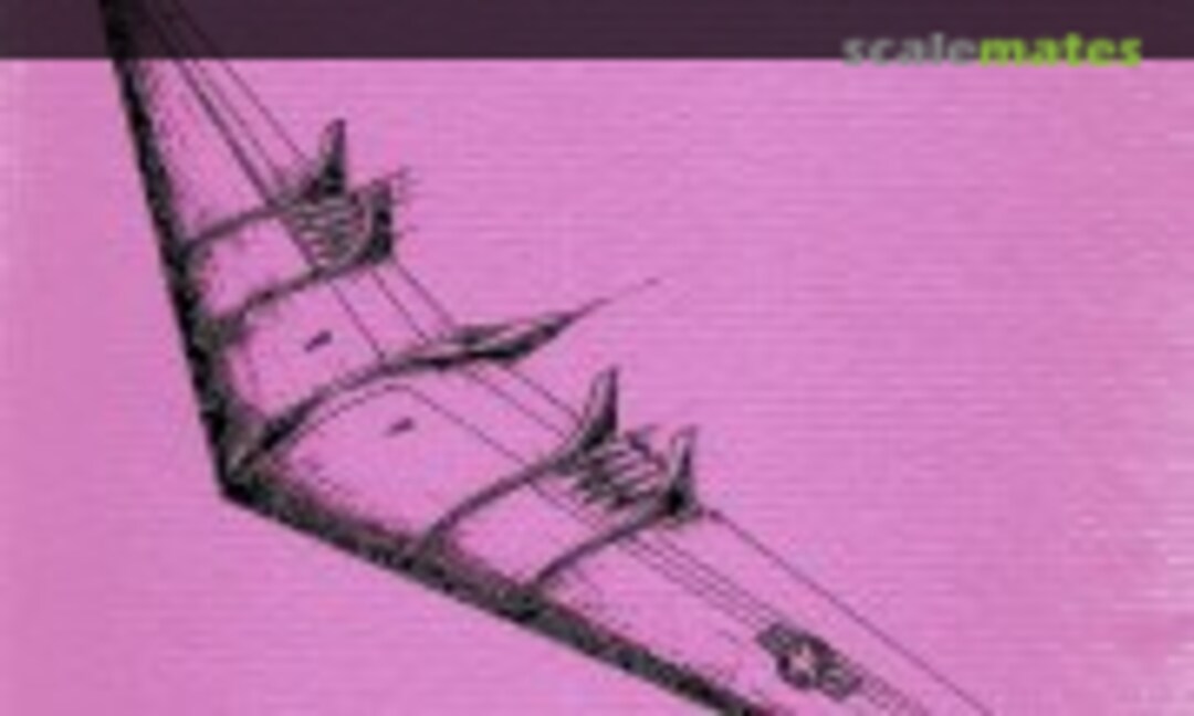 The Flying Wings of Northrop (Aviation Publications (old) ) The Flying Wings of Northrop (Aviation Publications (old) )