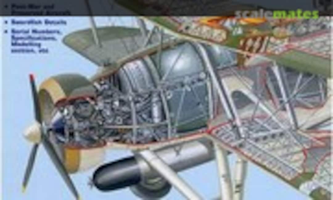 Plane Essentials Swordfish (Publishing Solutions 3) Plane Essentials Swordfish (Publishing Solutions 3)