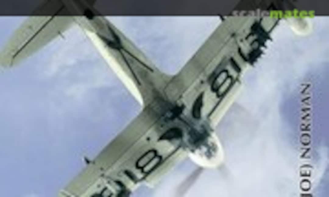 Firefly (AD HOC Publications 4)