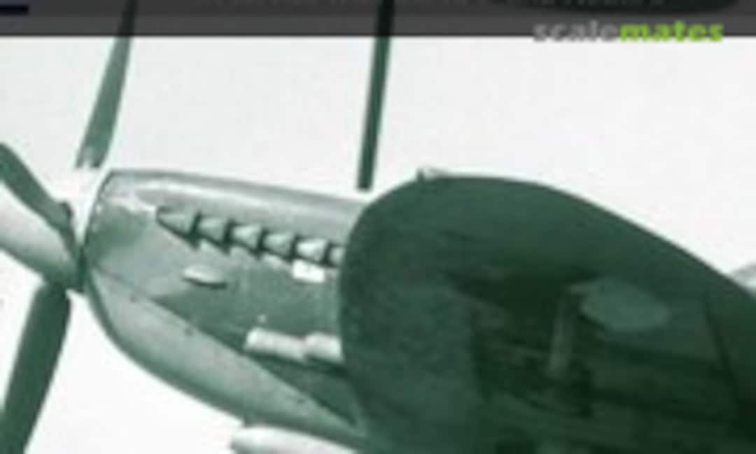 Supermarine Spitfire (L)F.Mk.Vb/IX,XIV,XVI (Dutch Profile 19) Supermarine Spitfire (L)F.Mk.Vb/IX,XIV,XVI (Dutch Profile 19)