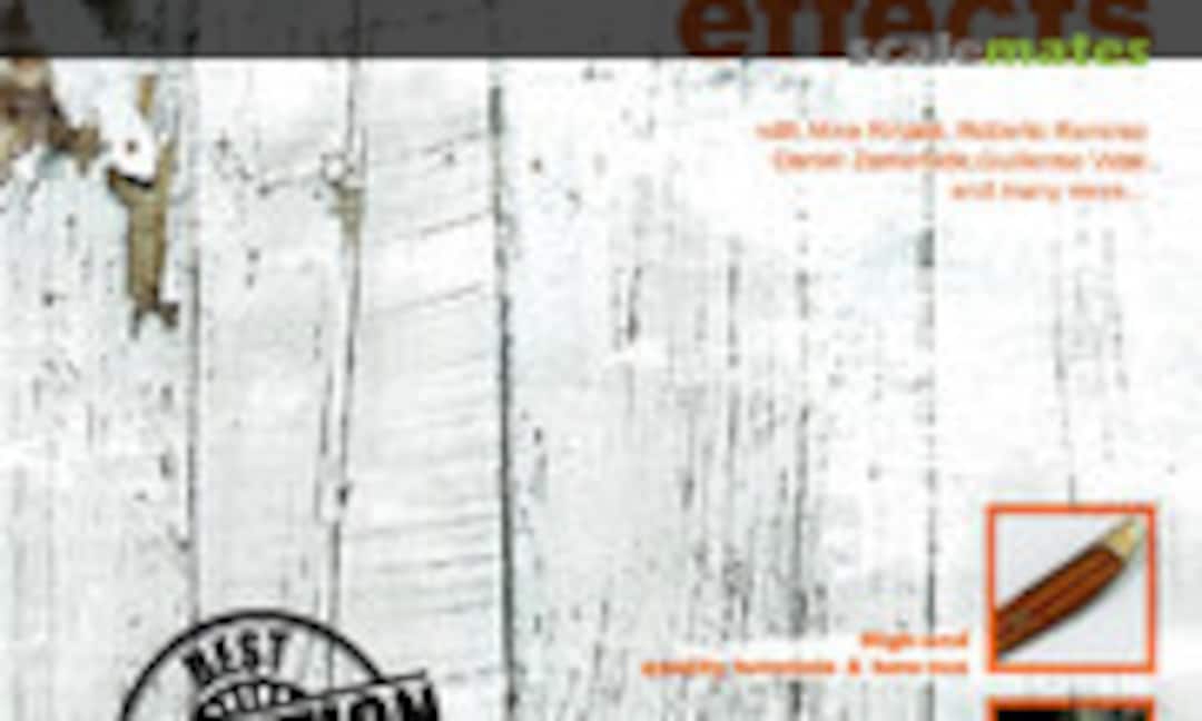 Realistic Wood Effects (AK Interactive 1)