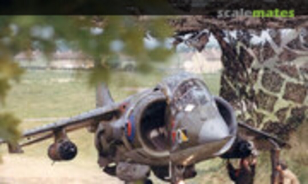 The Aviation Historian (The Aviation Historian 29) The Aviation Historian (The Aviation Historian 29)