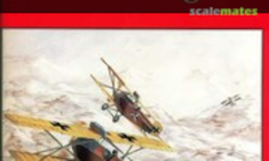 Brandenburg D.I (Flying Machines Press 2)