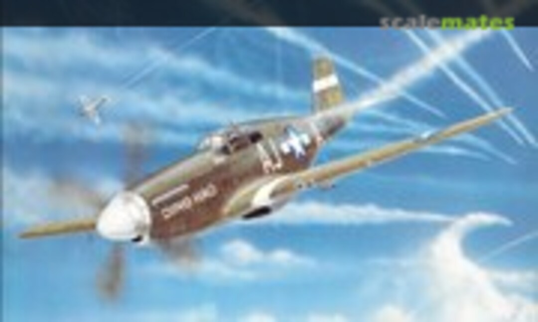 North American P-51 Mustang (Schiffer Publishing )