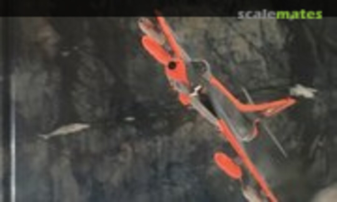 Hunter (Unknown ) Hunter (Unknown )