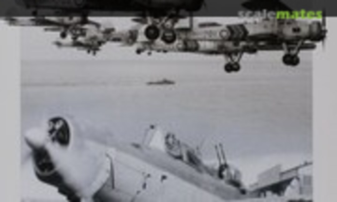 Fleet Air Arm Camouflage and Markings (Dalrymple & Verdun Publishing ) Fleet Air Arm Camouflage and Markings (Dalrymple & Verdun Publishing )