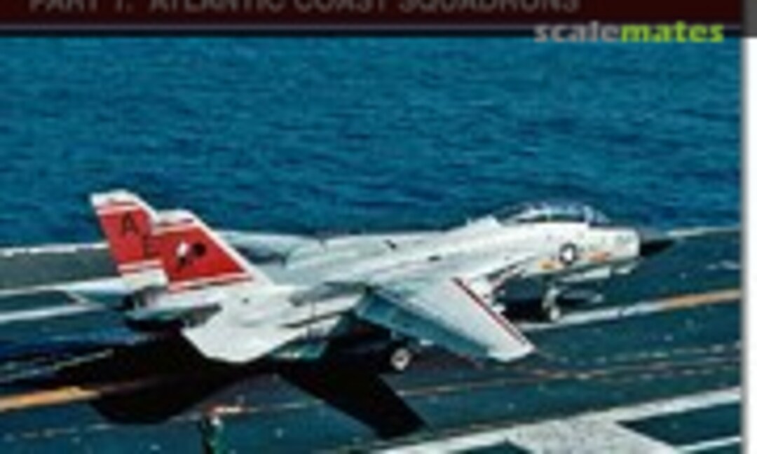 U.S. Navy F-14 Tomcats (Detail & Scale 1) U.S. Navy F-14 Tomcats (Detail & Scale 1)