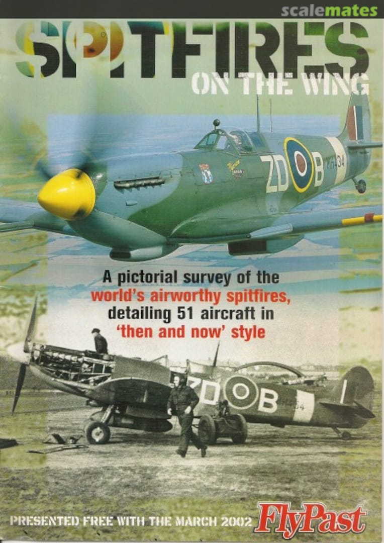 Cover Spitfires on the wing  Flypast