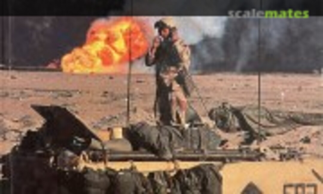 Desert Storm (Greenhill Books )