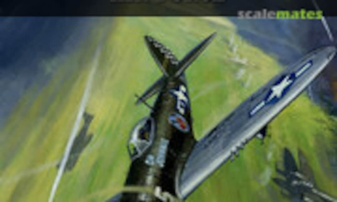 P-47 Thunderbolt Units of the Twelfth Air Force (Osprey Publications 92) P-47 Thunderbolt Units of the Twelfth Air Force (Osprey Publications 92)