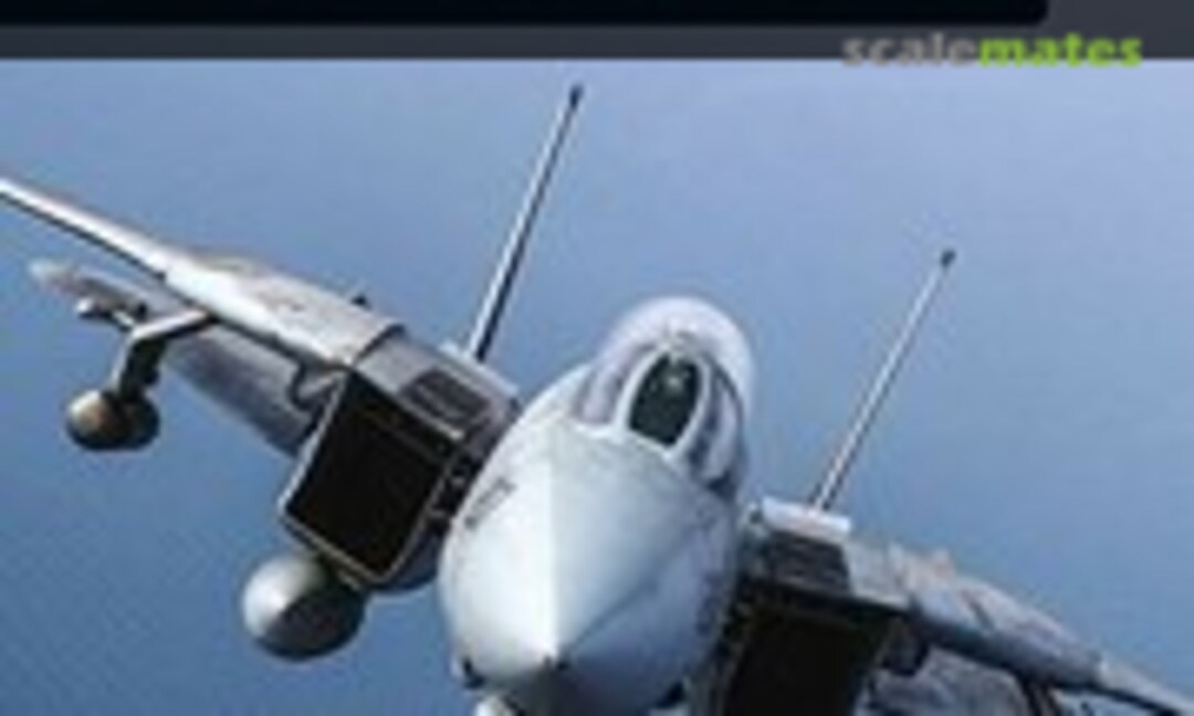 Grumman F-14 Tomcat (Motorbuch Verlag ) Grumman F-14 Tomcat (Motorbuch Verlag )