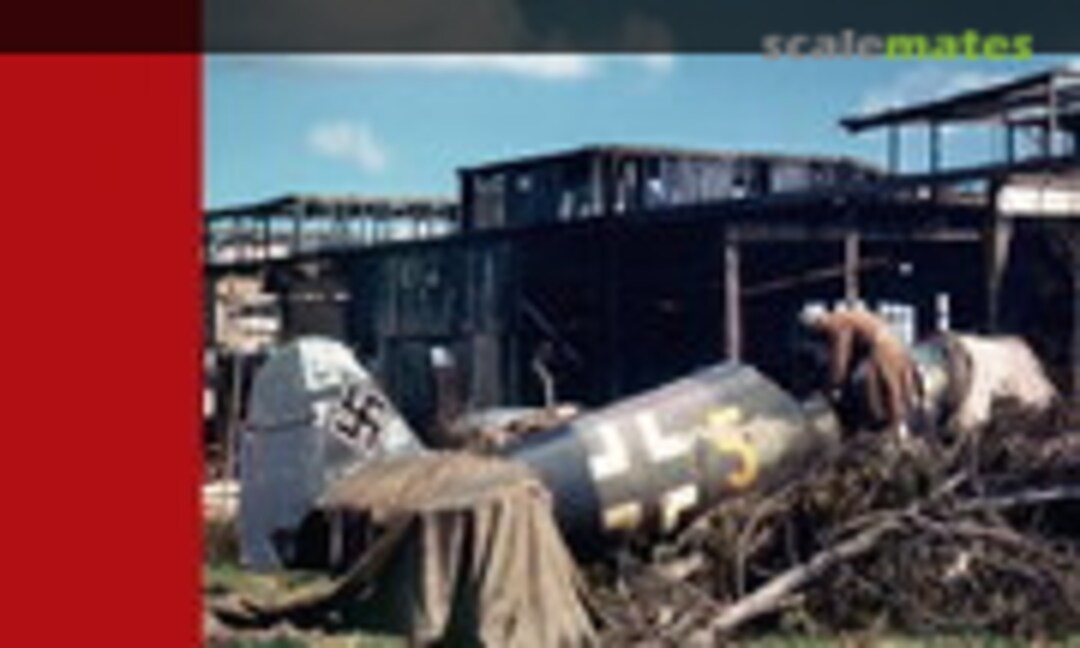 Luftwaffe im Focus (Luftfahrtverlag Start 29)