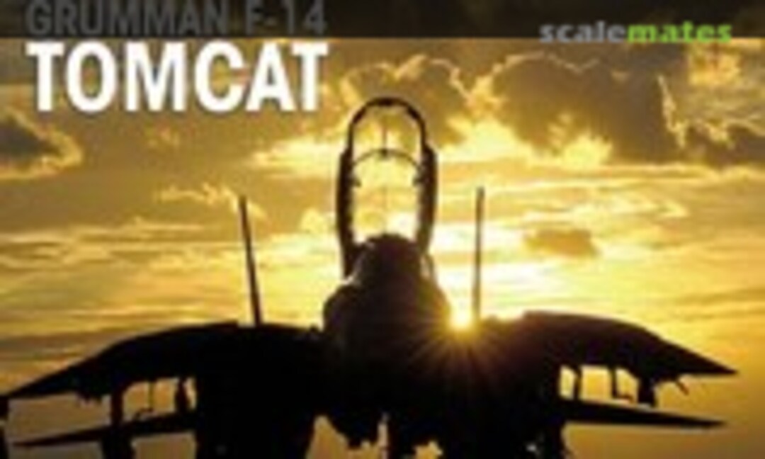 Grumman F-14 Tomcat (Mortons 13) Grumman F-14 Tomcat (Mortons 13)