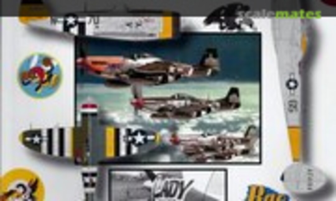 American Fighters Over Europe (Kalmbach Media ) American Fighters Over Europe (Kalmbach Media )