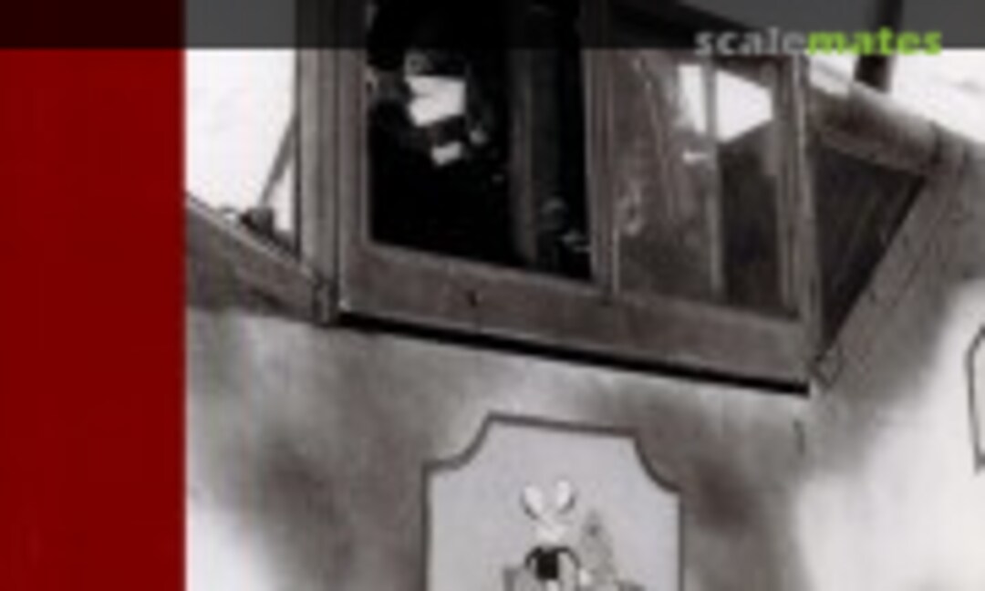 Luftwaffe im Focus (Luftfahrtverlag Start 2)