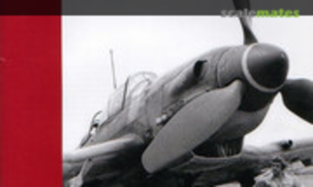 Luftwaffe im Focus (Luftfahrtverlag Start 13)