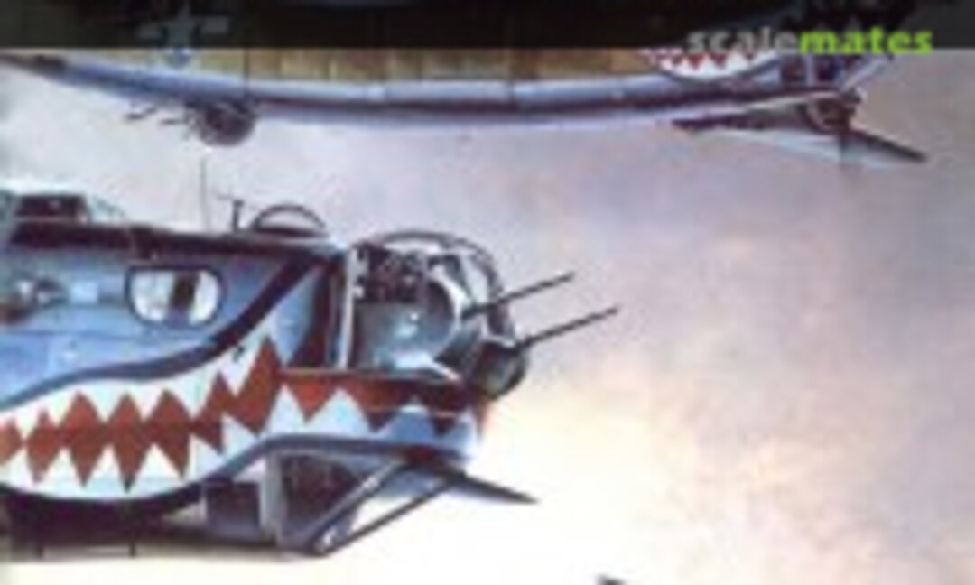 B-24 Liberator (Agencja Lotnicza Altair 5) B-24 Liberator (Agencja Lotnicza Altair 5)