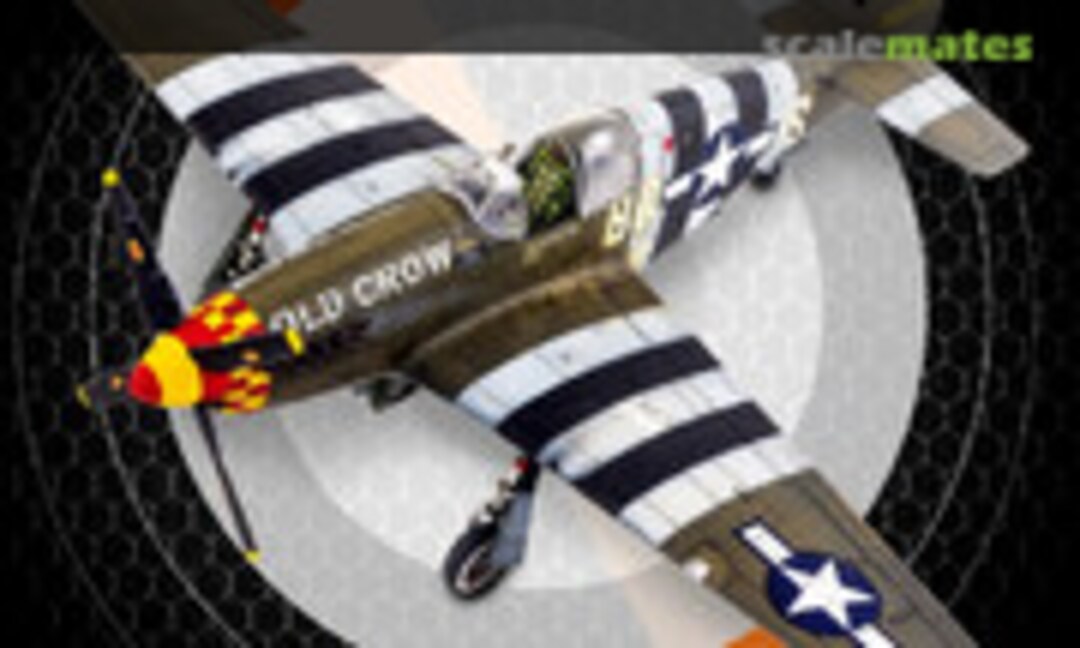 Building the P-51 Mustang (MA Publications 4) Building the P-51 Mustang (MA Publications 4)