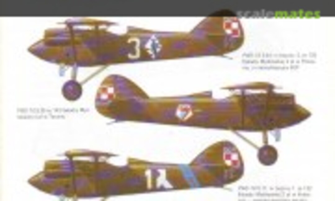 Samolot myśliwski PWS-10 (Wydawnictwo Bellona 157)