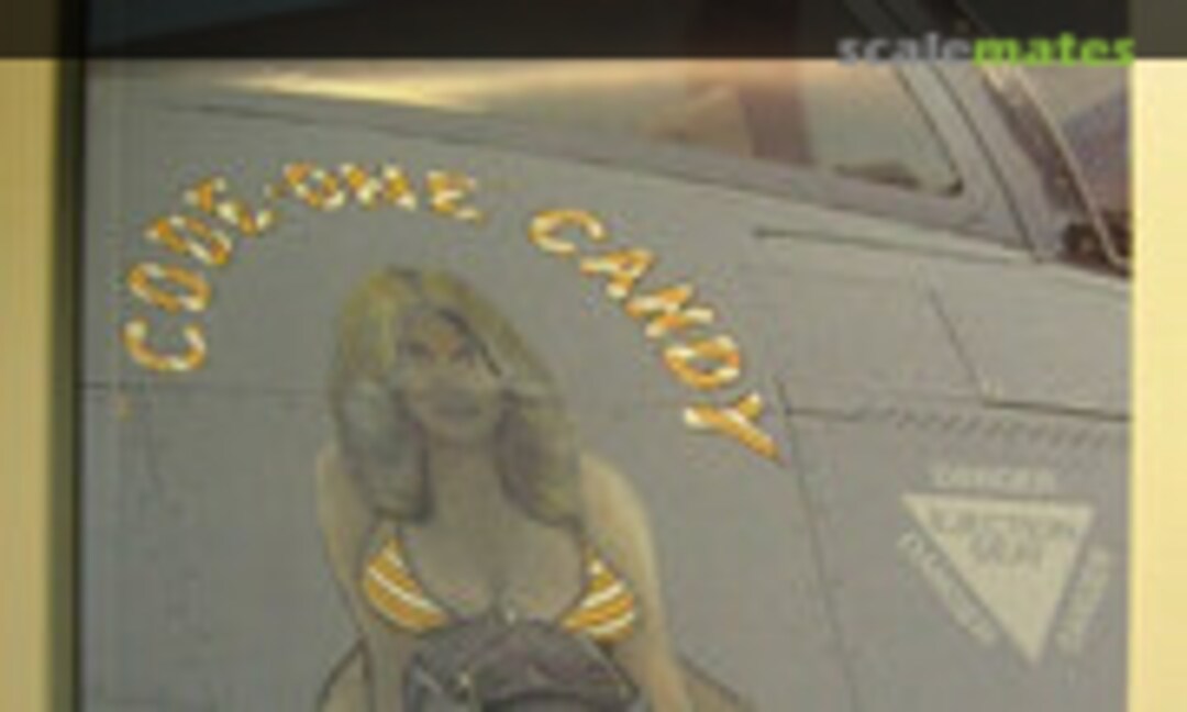 US Air Force Nose Art - Into the '90s (Windrow & Greene Ltd. 7)