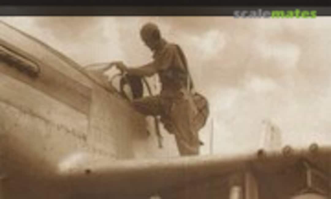 P-51D/K Mustang (Dutch Profile )