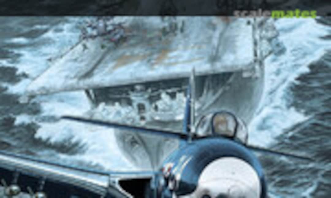 Angel Wings (Paquet T7)