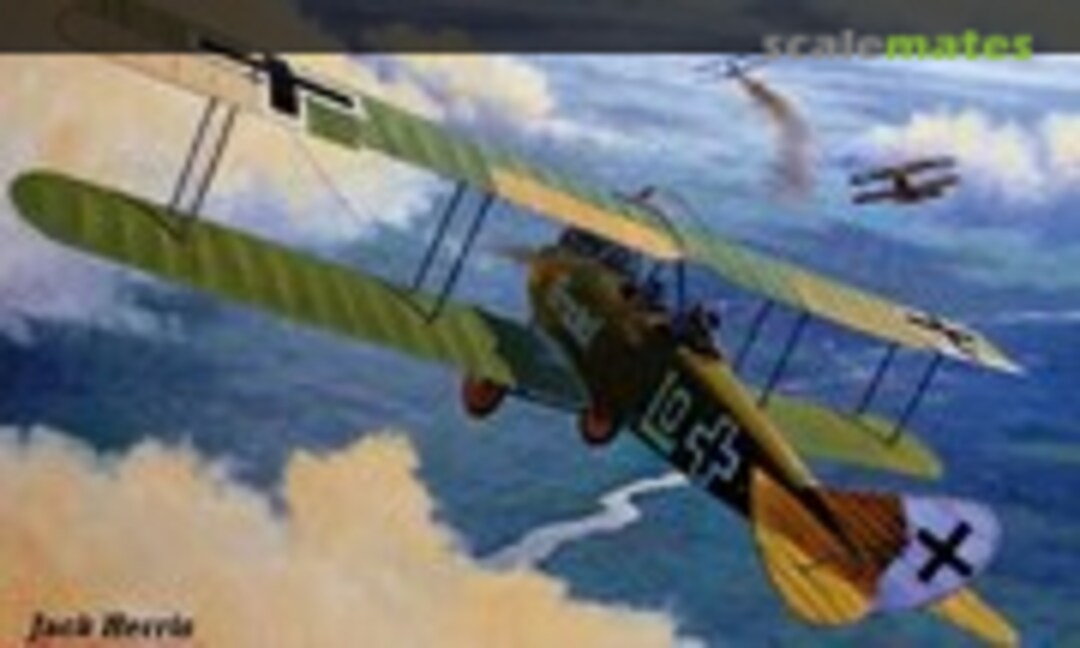 DFW Aircraft of WWI (Aeronaut Books 29) DFW Aircraft of WWI (Aeronaut Books 29)