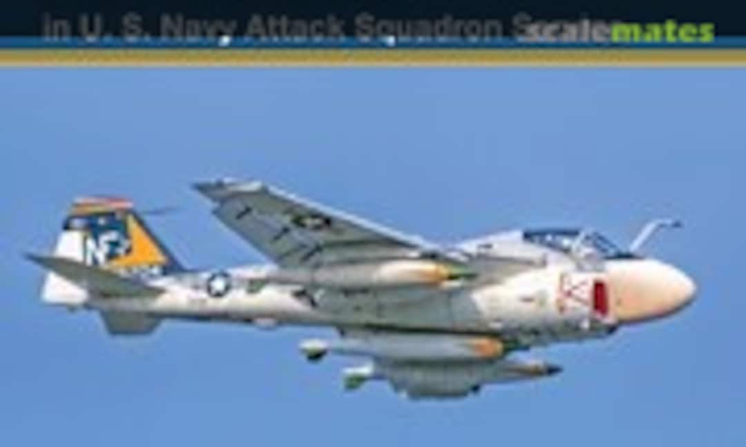 A-6 Intruder (Detail & Scale 6) A-6 Intruder (Detail & Scale 6)