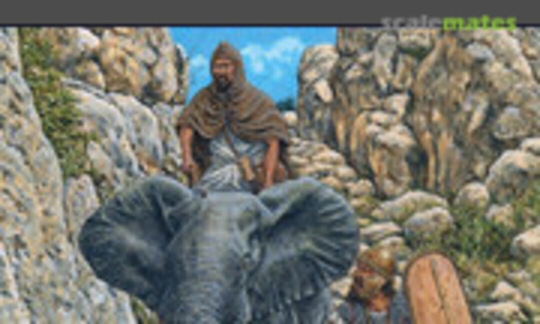 The Numidians 300 BC-AD 300 (Osprey Publications 537)