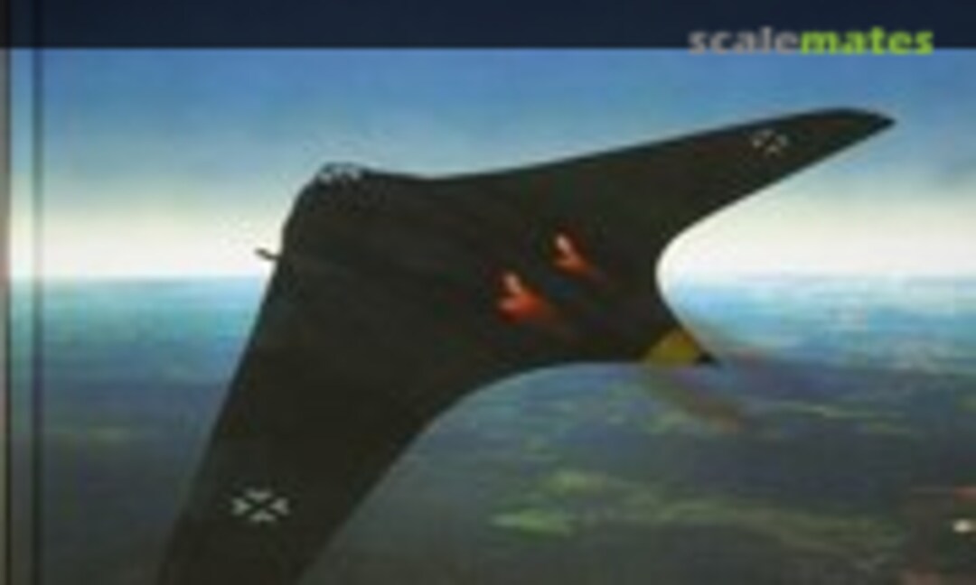 Horten Ho 229: Der legendäre Nurflügel (Motorbuch Verlag ) Horten Ho 229: Der legendäre Nurflügel (Motorbuch Verlag )