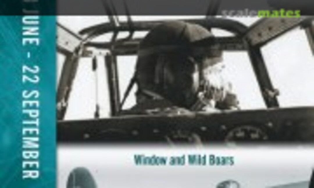 1943 - Part 2 (Wing Leader )