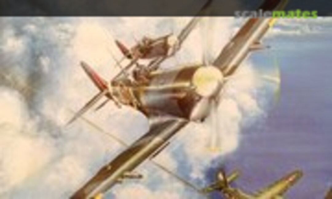 Spitfire II (The Boston Mills Press )