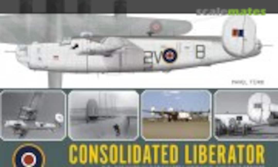 Consolidated Liberator (Wing Leader 30)